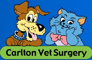 Carlton Veterinary Clinic Carlton North