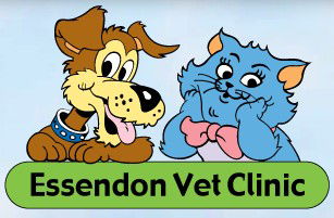 Essendon Veterinary Clinic Essendon