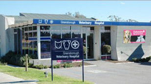 Greensborough Veterinary Hospital Greensborough