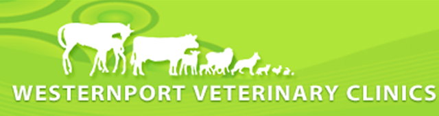 Westernport Veterinary Clinics Hastings