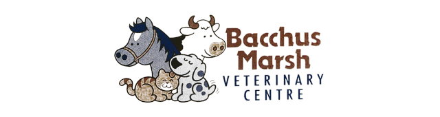 Bacchus Marsh Veterinary Centre Bacchus Marsh
