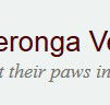 Yeronga Vet Surgery - Vet Melbourne
