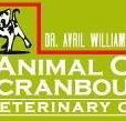 Animal Care Cranbourne Veterinary Centre - Vet Melbourne
