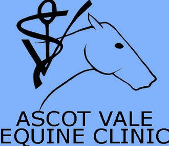 Travancore VIC Vet Melbourne
