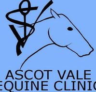 Ascot Vale Equine Clinic - Vet Melbourne