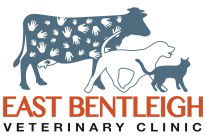  Vet Melbourne