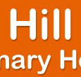Box Hill Veterinary Hospital - Vet Melbourne