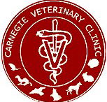 Carnegie Veterinary Clinic - Vet Melbourne