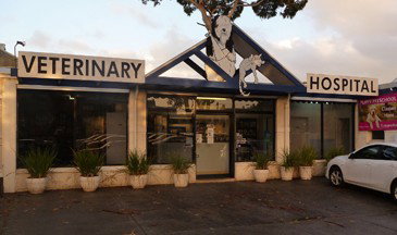  Vet Melbourne