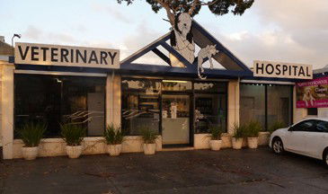 Central Veterinary Hospital Sandringham - Vet Melbourne 0