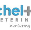 Cheltenham Veterinary Clinic - Vet Melbourne