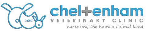 Cheltenham Veterinary Clinic - Vet Melbourne 0
