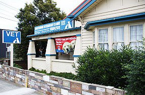 Cheltenham Veterinary Clinic - Vet Melbourne 1