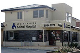 Notting Hill VIC Vet Melbourne