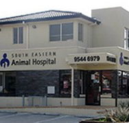 South Eastern Animal Hospital - Vet Melbourne