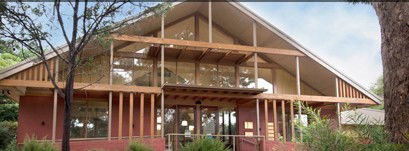 Diamond Valley Veterinary Hospitals - Vet Melbourne 0