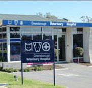 Greensborough Veterinary Hospital - Vet Melbourne