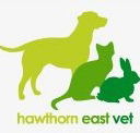 Hawthorn East Vet - Vet Melbourne