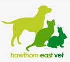 Hawthorn East Vet - Vet Melbourne 0