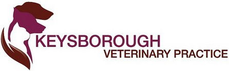  Vet Melbourne