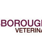Keysborough Veterinary Practice - Vet Melbourne