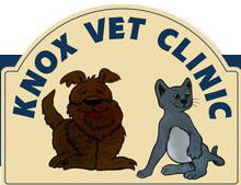 Wantirna South VIC Vet Melbourne