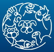 Glenside Veterinary Clinic - Vet Melbourne