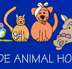 AdelaideVet - Goodwood Road - Vet Melbourne