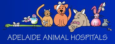 AdelaideVet - Goodwood Road - Vet Melbourne 0