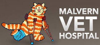 Malvern Vet