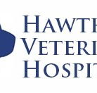 Hawthorn Veterinary Hospital - Vet Melbourne