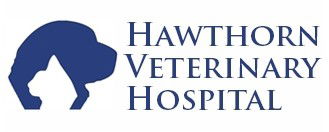 Hawthorn Veterinary Hospital - Vet Melbourne 0