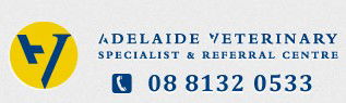 Norwood SA Vet Melbourne