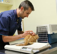 Seaford Vet Care - Vet Melbourne