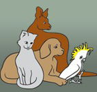 Southcoast Animal Hospital - Vet Melbourne