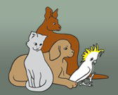 Southcoast Animal Hospital - Vet Melbourne 0