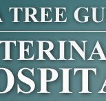 Tea Tree Gully Veterinary Hospital - Vet Melbourne