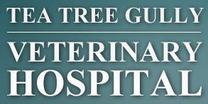 Tea Tree Gully Veterinary Hospital - Vet Melbourne 0
