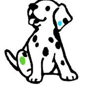Four Paws Vets - Unley Vet Surgery - Vet Melbourne