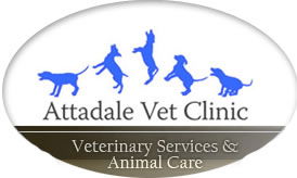 Attadale Vet - Vet Melbourne 0
