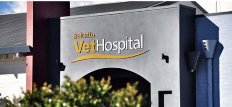 Balcatta Veterinary Hospital - Vet Melbourne 1