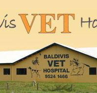 Baldivis Vet Hospital - Vet Melbourne