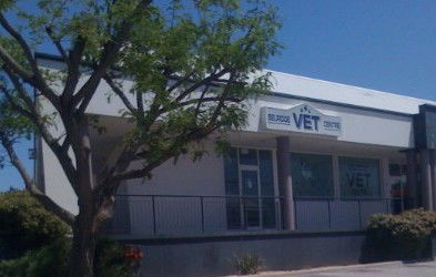 Belridge Veterinary Centre - Vet Melbourne 0