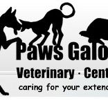 Paws Galore Veterinary Centre - Vet Melbourne
