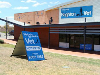 Vet Melbourne