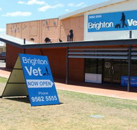 Brighton Vet - Vet Melbourne