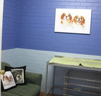 Cavalier Vet Practice - Vet Melbourne