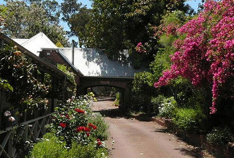 Eastern Hills Veterinary Centre - Vet Melbourne 1