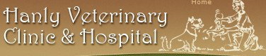 Hanly Veterinary Clinic & Hospital - Vet Melbourne 0