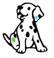 Four Paws Vet - Black Forest Vet Surgery - Vet Melbourne 0